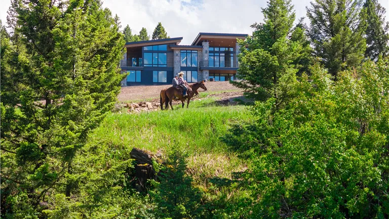 Buck Ridge Ranch: Exterior Horse Lifestyle