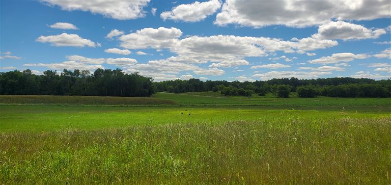 A serene summer landscape with open fields, blue sky, and distant trees.