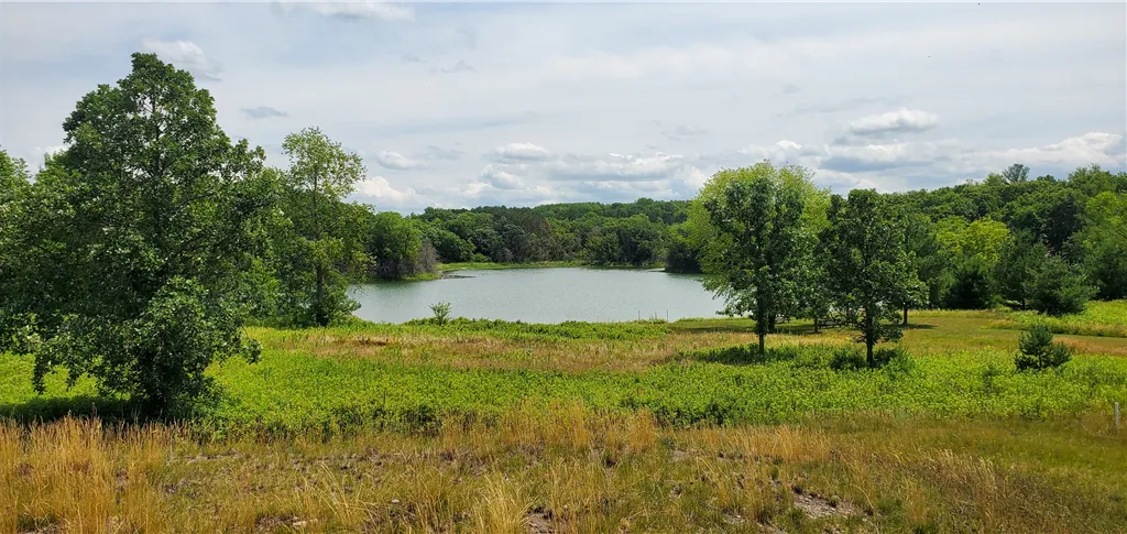 A peaceful summer landscape featuring a reflective lake and lush greenery.