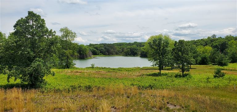 A peaceful summer landscape featuring a reflective lake and lush greenery.