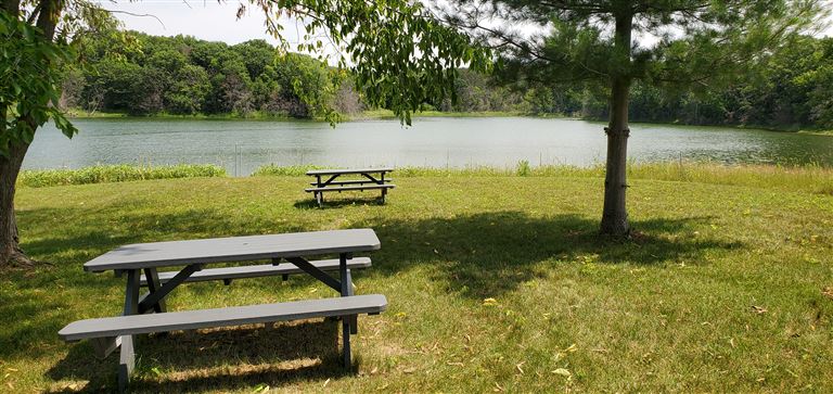 A wooden bench in a park by a tranquil lake with trees and a bridge reflecting in the water.
