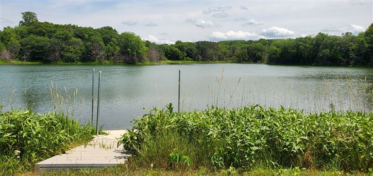 A peaceful summer lake landscape with reflections of trees and a clear sky.
