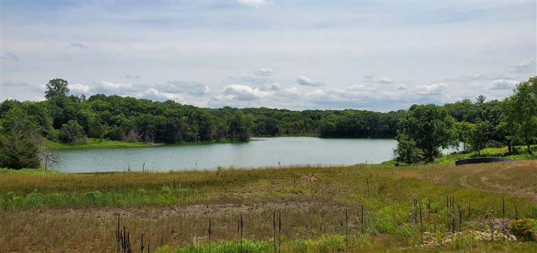 A peaceful summer wetland landscape with a reflective body of water and surrounding greenery.