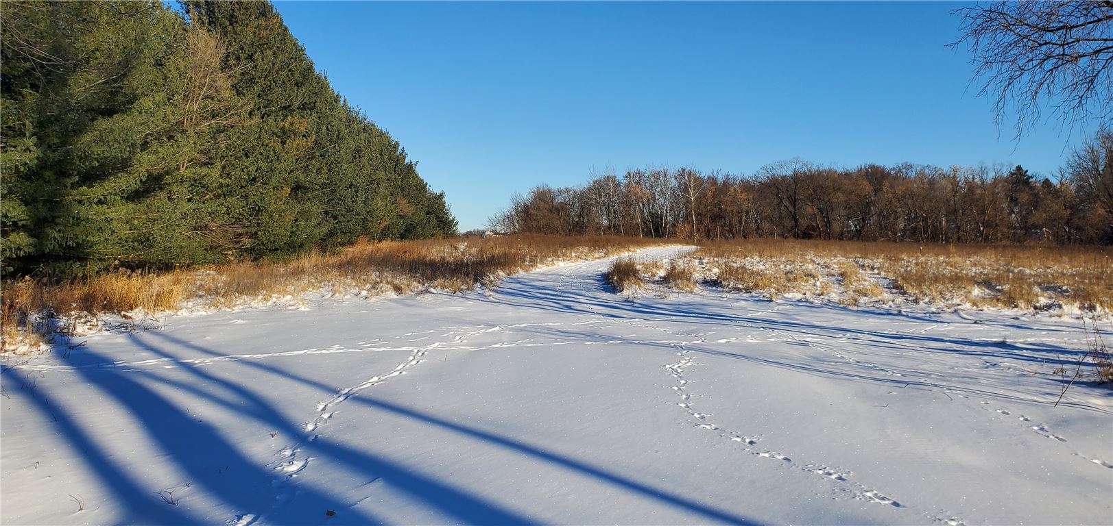 A snow-covered road in a winter landscape with frosty trees and a clear dawn sky.
