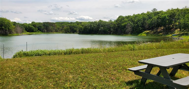A peaceful summer lake landscape with reflections of trees and a wooden bench.