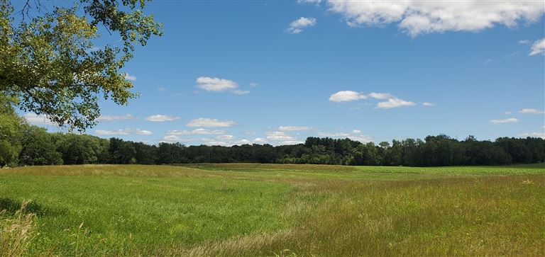 A serene summer landscape of rural farmland with fields, trees, and a clear sky.