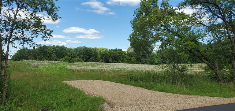 A scenic road through a rural countryside in summer with green grass and trees.