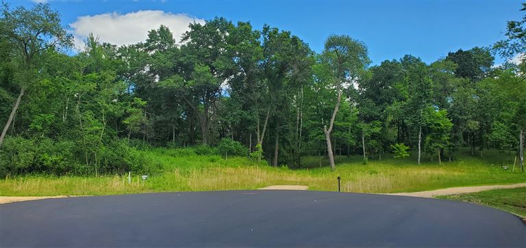 A sunny rural road surrounded by trees and grass under a clear sky.