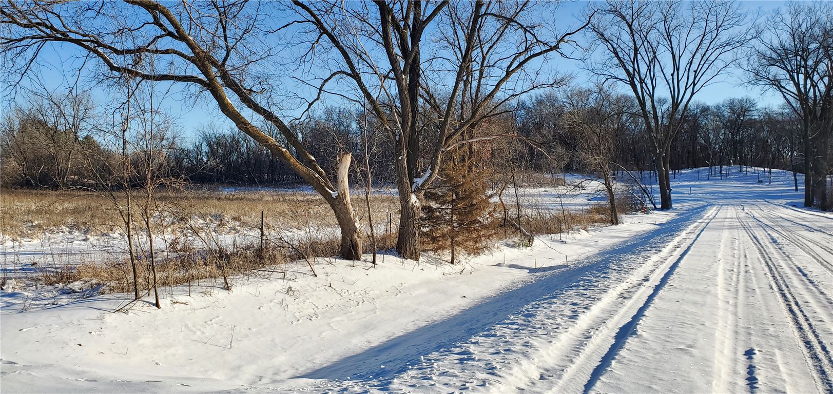 Snow-covered road in a winter landscape with frosty trees.