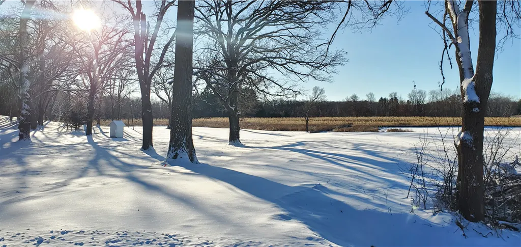 Snow-covered park at dawn with frosty trees and a serene winter landscape.