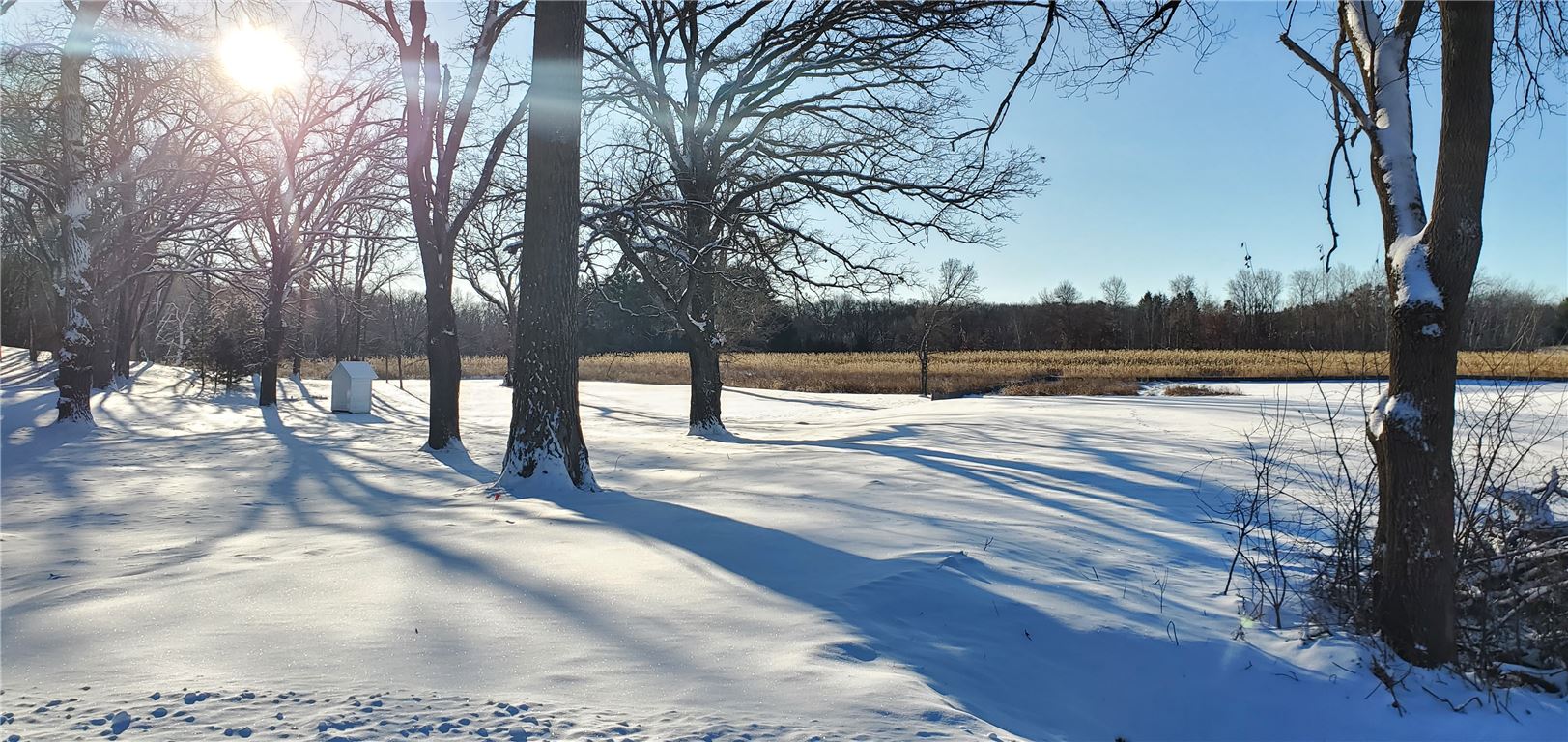 Snow-covered park at dawn with frosty trees and a serene winter landscape.
