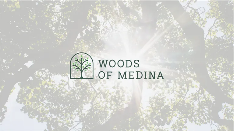 Woods of Medina Cover